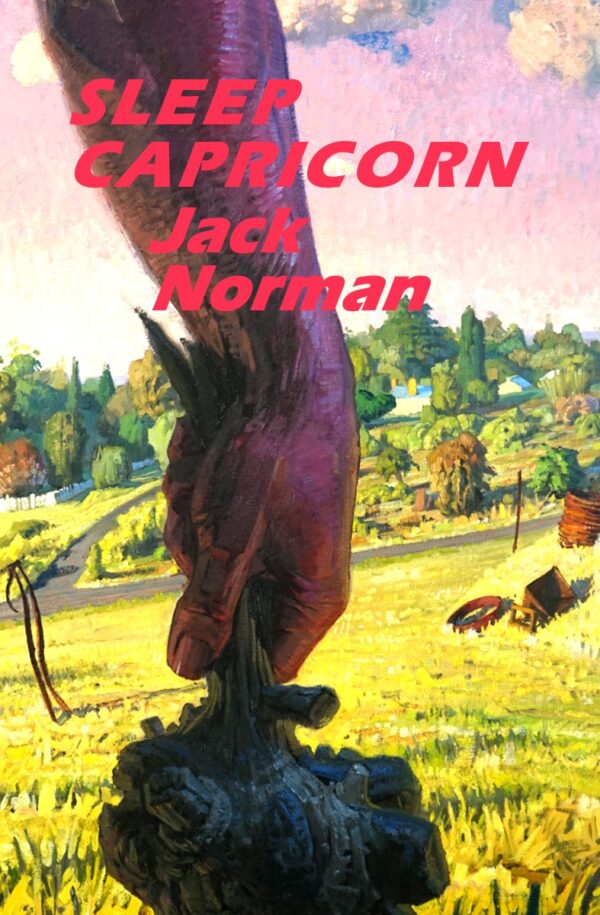 Sleep Capricorn by Jack Norman (Pre-Order)